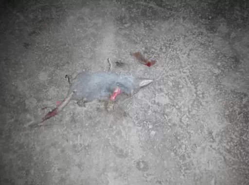 你就不可以安分些吗？542 / 作者:罗少爷 / 帖子ID:104872