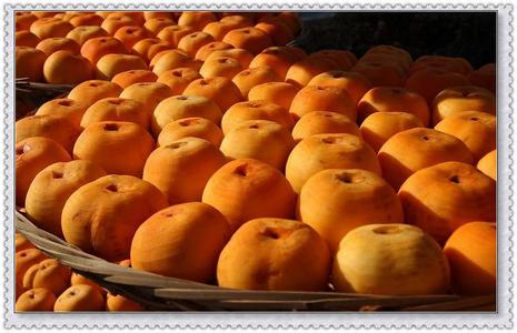 2014年恭城月柿节 第十一届月柿节今日开园985 / 作者:穷人 / 帖子ID:104925