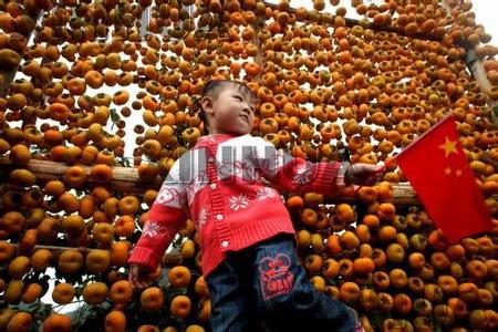 2014年恭城月柿节 第十一届月柿节今日开园483 / 作者:穷人 / 帖子ID:104925