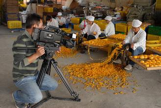 2014年恭城月柿节 第十一届月柿节今日开园35 / 作者:穷人 / 帖子ID:104925