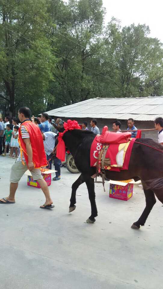 恭城人传统结婚685 / 作者:灬小李 / 帖子ID:104963