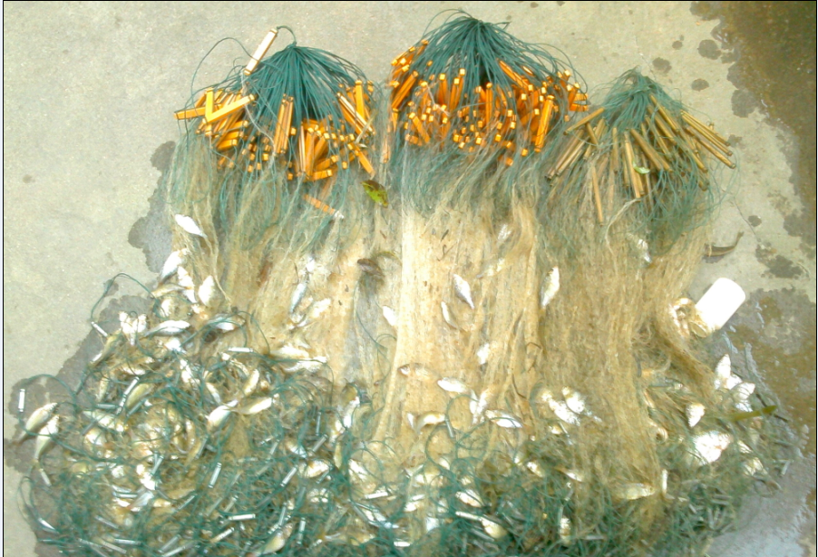 今天的收获!113 / 作者:罗少爷 / 帖子ID:105007