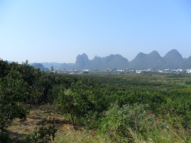 你相信缘分吗？395 / 作者:建筑19551213 / 帖子ID:105021