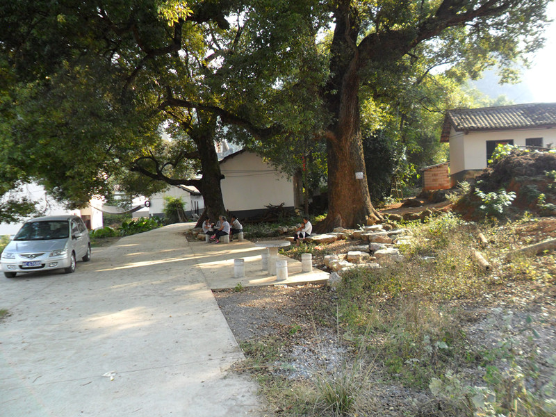 你相信缘分吗？175 / 作者:建筑19551213 / 帖子ID:105021