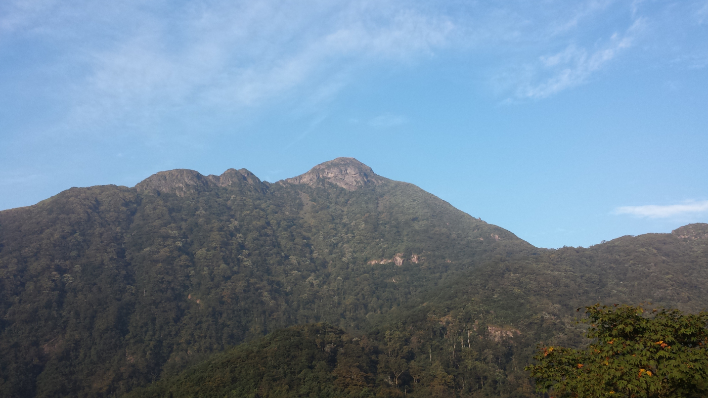 银殿山登顶855 / 作者:gcqinbin / 帖子ID:104960