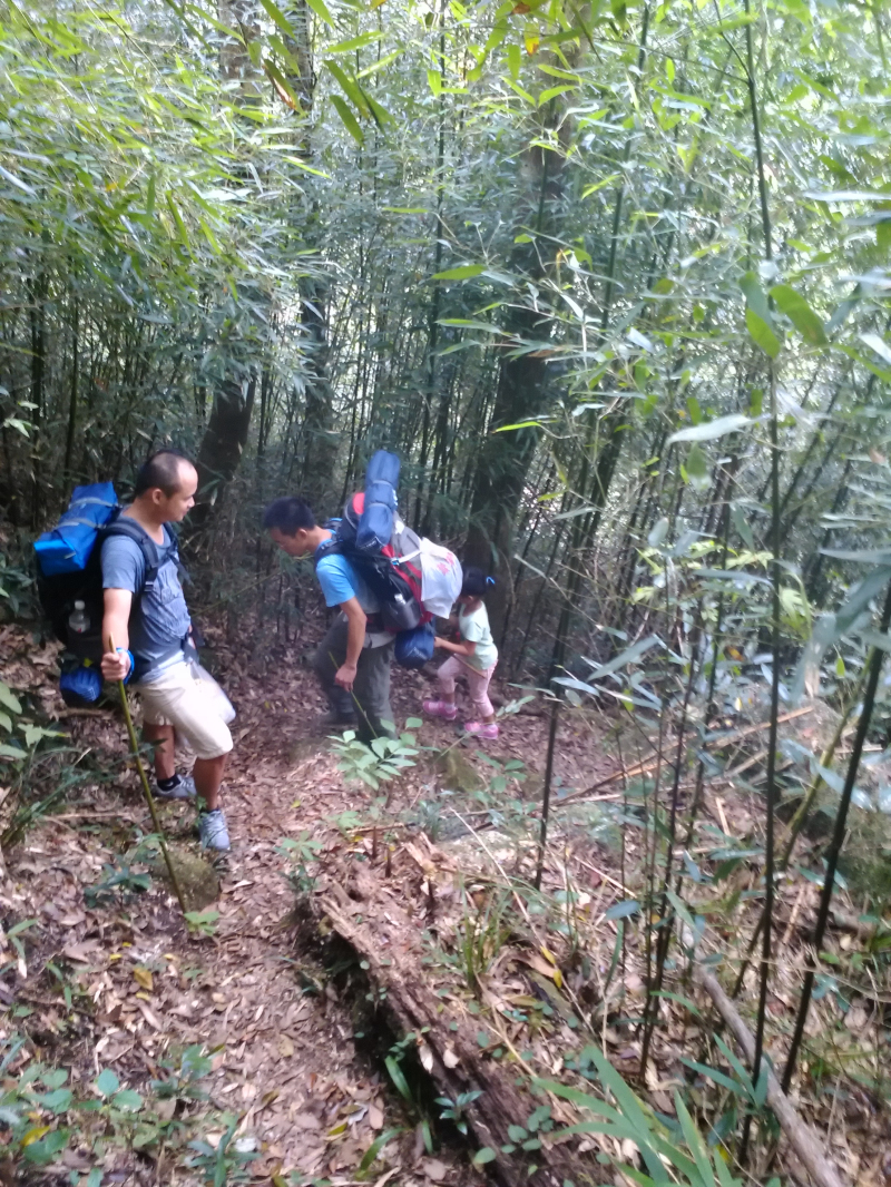 银殿山登顶841 / 作者:gcqinbin / 帖子ID:104960