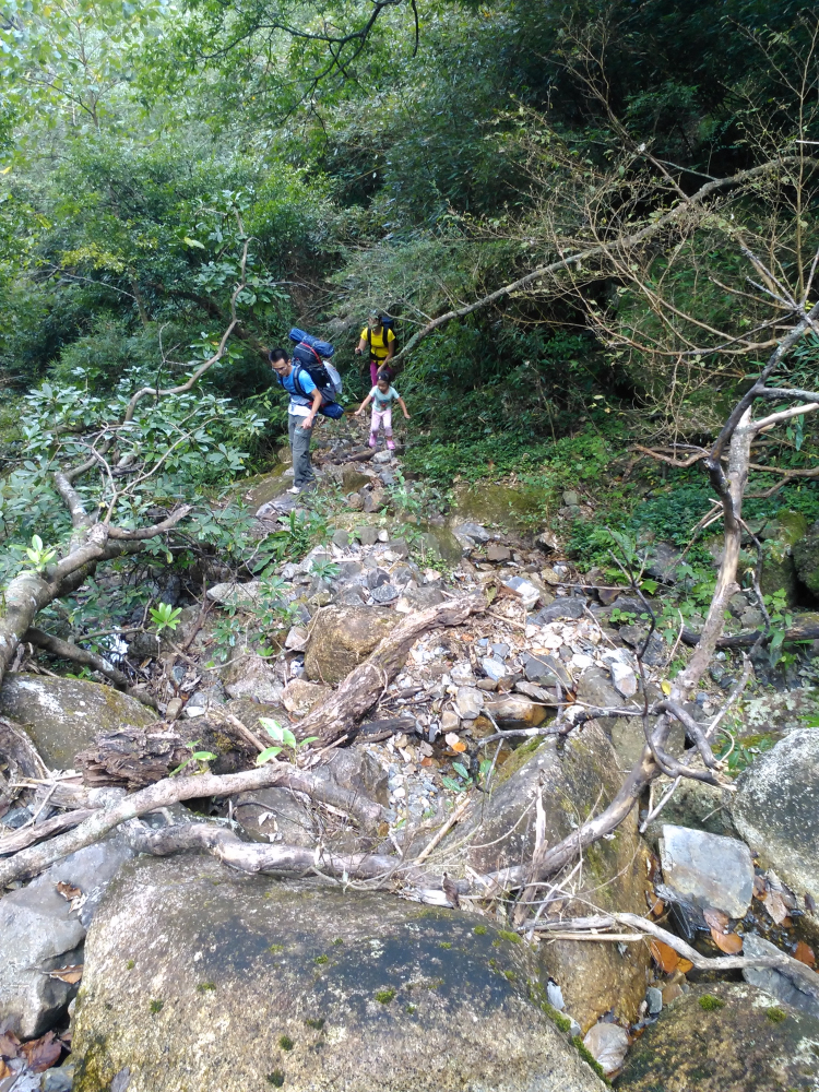 银殿山登顶976 / 作者:gcqinbin / 帖子ID:104960