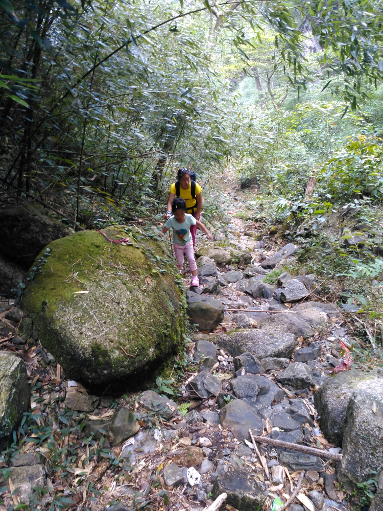 银殿山登顶38 / 作者:gcqinbin / 帖子ID:104960