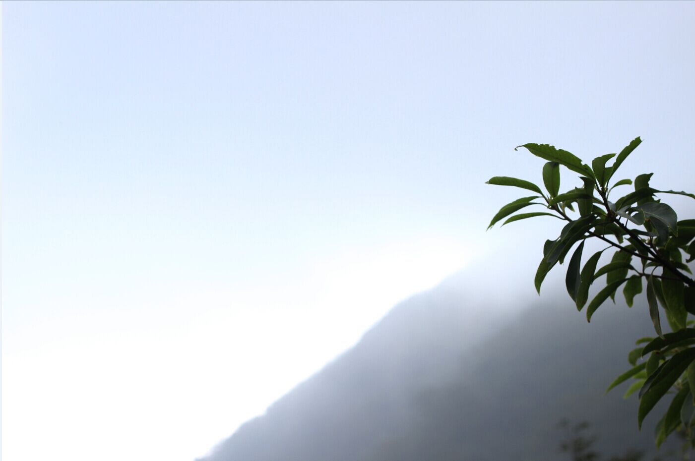 银殿山登顶867 / 作者:zhanlang003 / 帖子ID:104960