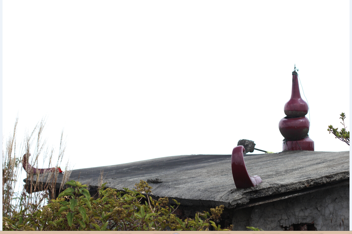 银殿山登顶128 / 作者:zhanlang003 / 帖子ID:104960