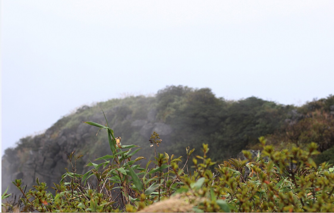 银殿山登顶281 / 作者:zhanlang003 / 帖子ID:104960