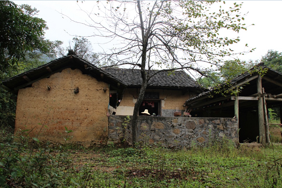 银殿山登顶992 / 作者:zhanlang003 / 帖子ID:104960