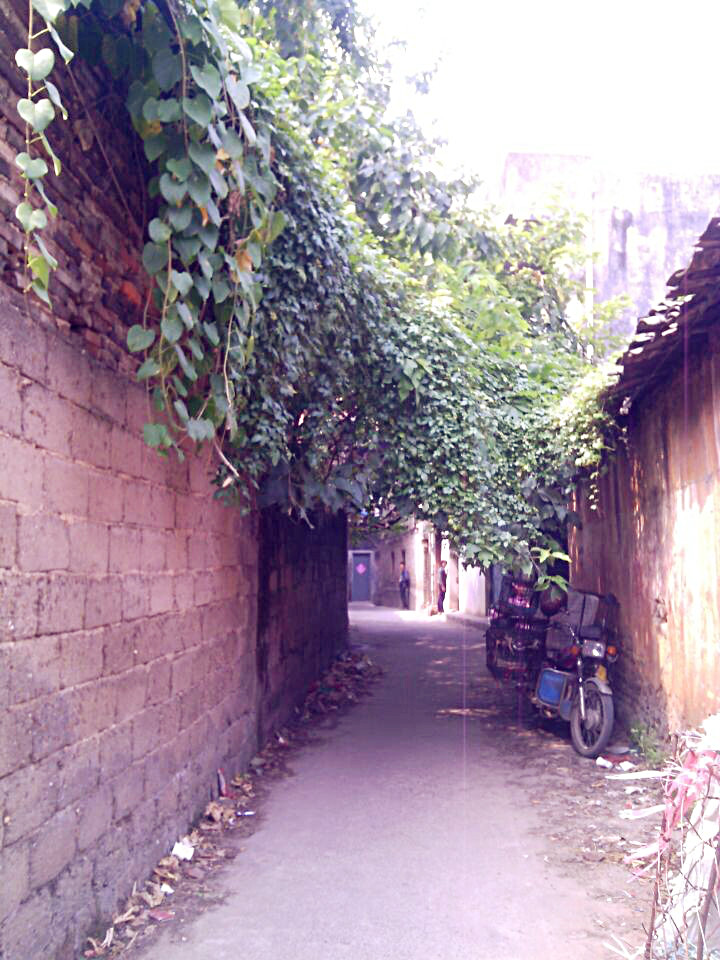 我只是路过看着攀藤不错，谁知道谁小心拍到了别人吵架102 / 作者:恭城520小奈姐姐 / 帖子ID:105089