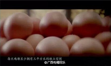 原来茶叶蛋是这样来的，果然不是我等平民吃得起的啊！873 / 作者:恭城520小奈姐姐 / 帖子ID:105126