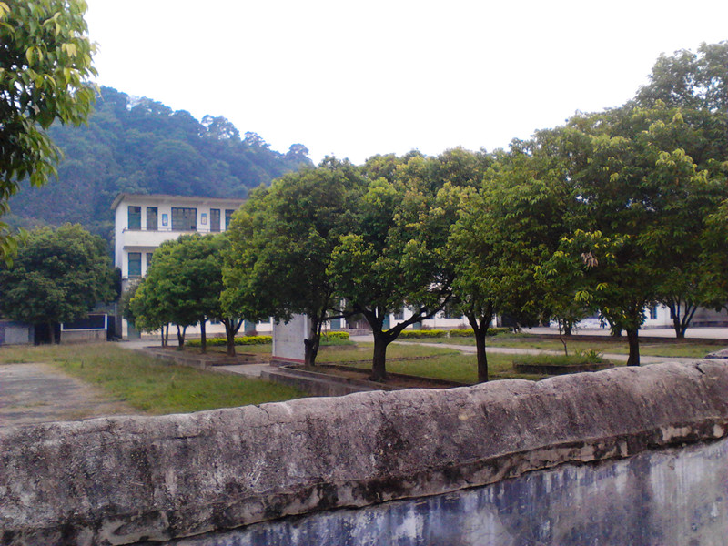 秋己浓，请添衣。942 / 作者:建筑19551213 / 帖子ID:105150