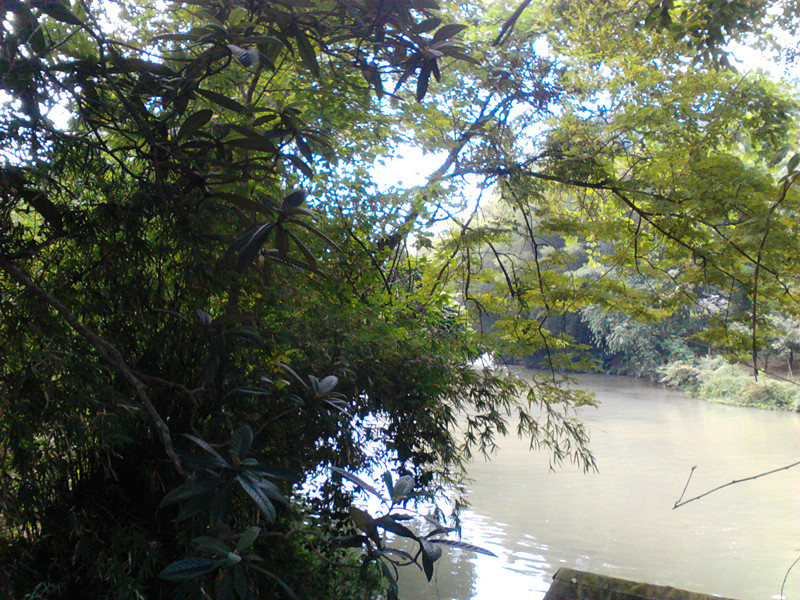 秋己浓，请添衣。811 / 作者:建筑19551213 / 帖子ID:105150