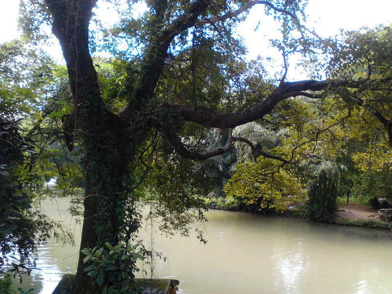 秋己浓，请添衣。906 / 作者:建筑19551213 / 帖子ID:105150