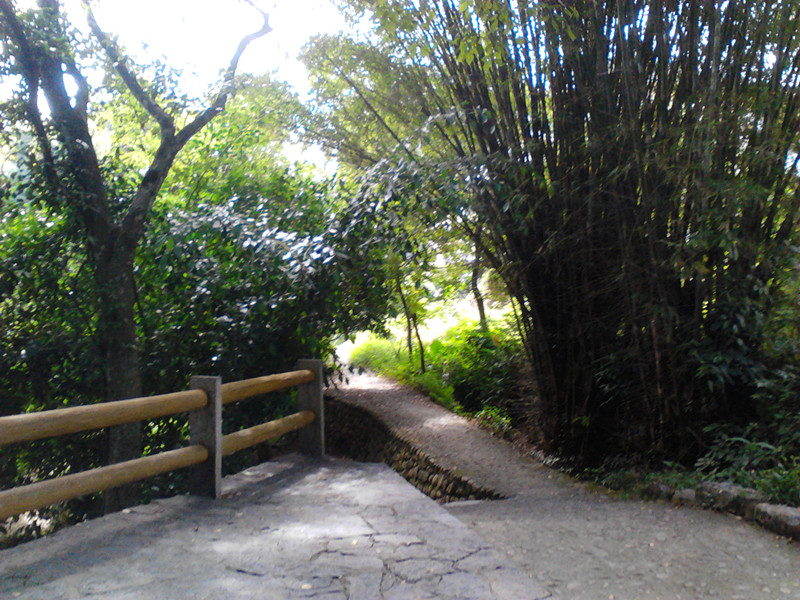 秋己浓，请添衣。922 / 作者:建筑19551213 / 帖子ID:105150