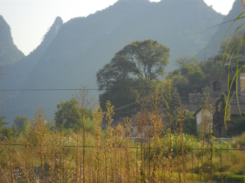 季节变了。温暖没变。秋天到了扫落了树叶。落叶一地的零乱。而记忆是一片璀璨！268 / 作者:建筑19551213 / 帖子ID:105158