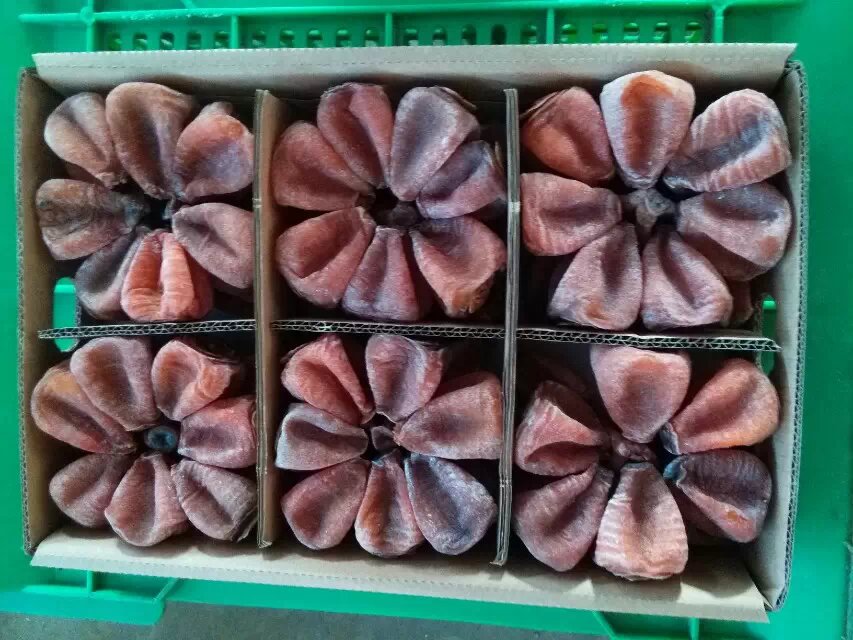 花样柿饼632 / 作者:758779802 / 帖子ID:105204
