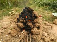 看图有感439 / 作者:麻蛋 / 帖子ID:105240