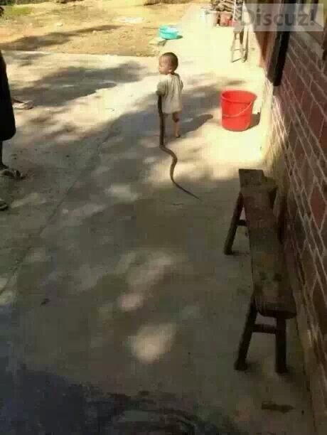 小家伙可以啊346 / 作者:珍惜 / 帖子ID:105251