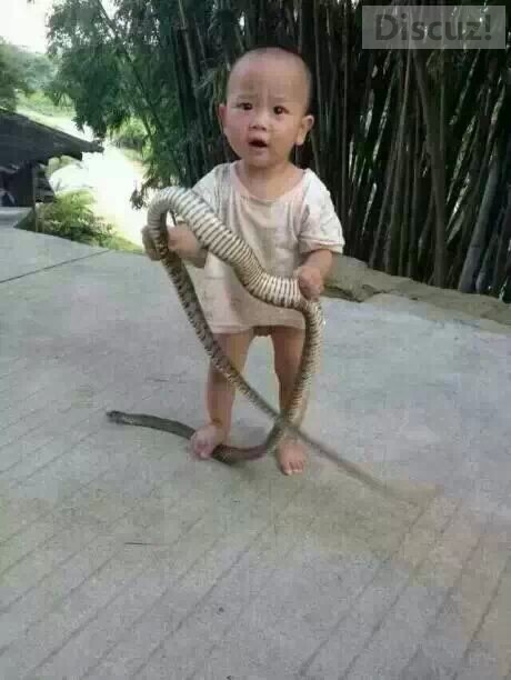 小家伙可以啊68 / 作者:珍惜 / 帖子ID:105251