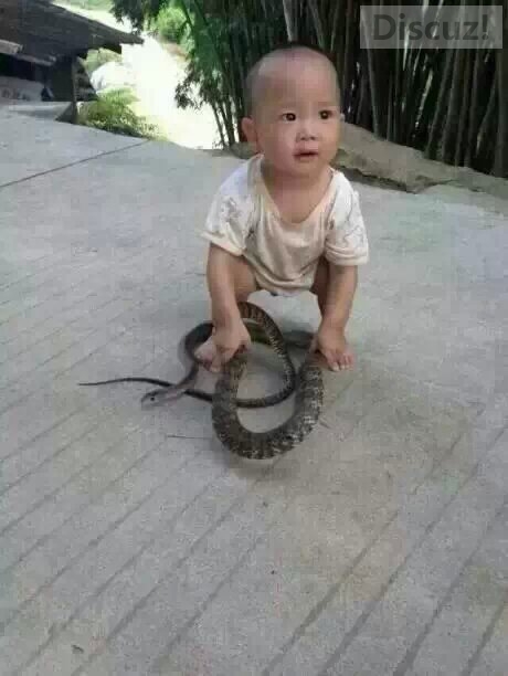 小家伙可以啊390 / 作者:珍惜 / 帖子ID:105251