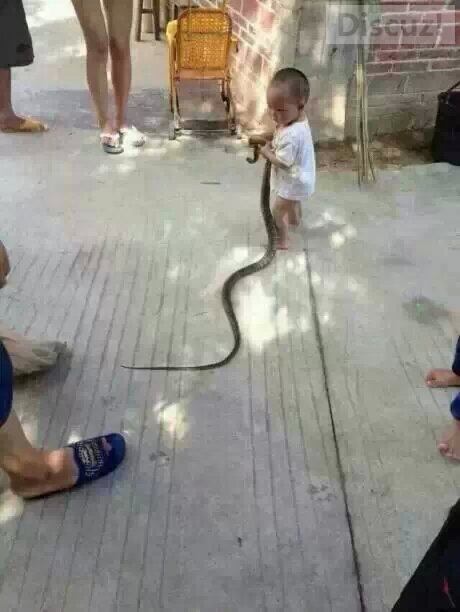 小家伙可以啊569 / 作者:珍惜 / 帖子ID:105251