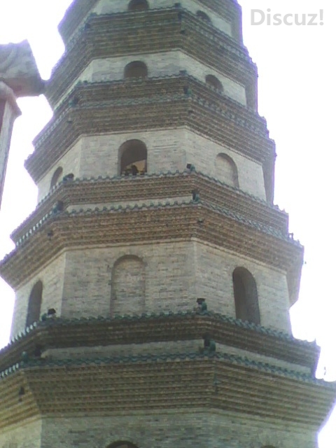 还是读书的时候好，南宁青秀山712 / 作者:恭城520小奈姐姐 / 帖子ID:105350