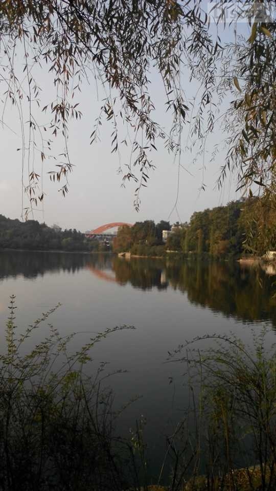 心与心的交流。是精神的拥有！心灵间的靠近是，是一种说不出的温馨！774 / 作者:建筑19551213 / 帖子ID:105412