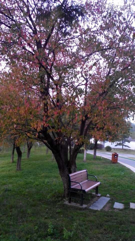 心与心的交流。是精神的拥有！心灵间的靠近是，是一种说不出的温馨！137 / 作者:建筑19551213 / 帖子ID:105412