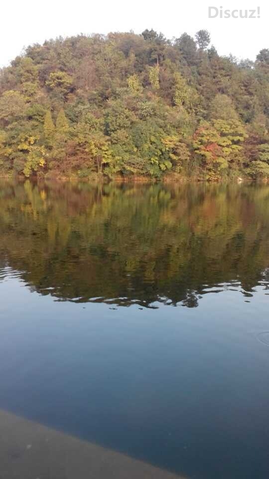 心与心的交流。是精神的拥有！心灵间的靠近是，是一种说不出的温馨！10 / 作者:建筑19551213 / 帖子ID:105412