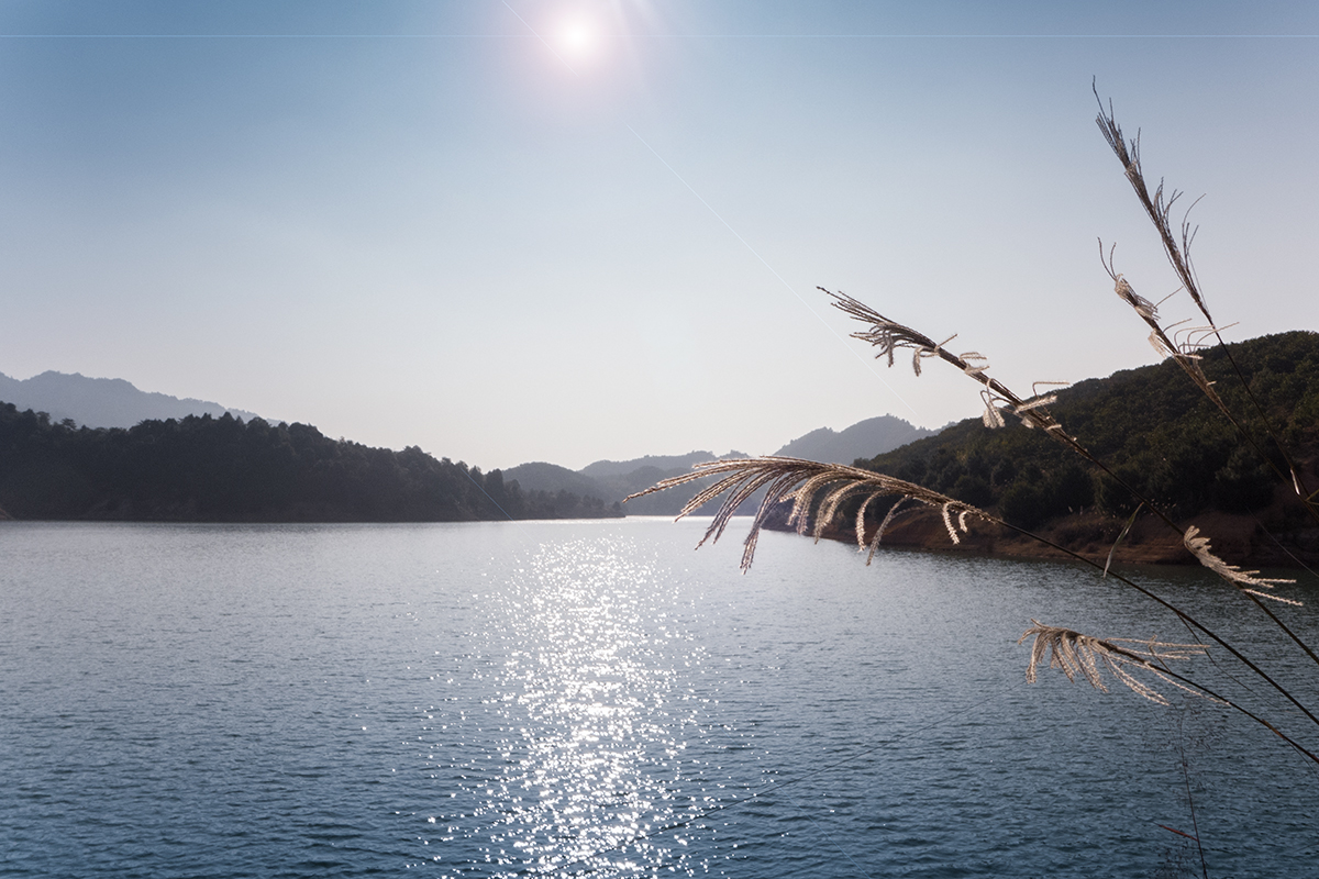湖光山色--黄竹岗752 / 作者:老兔子 / 帖子ID:105428