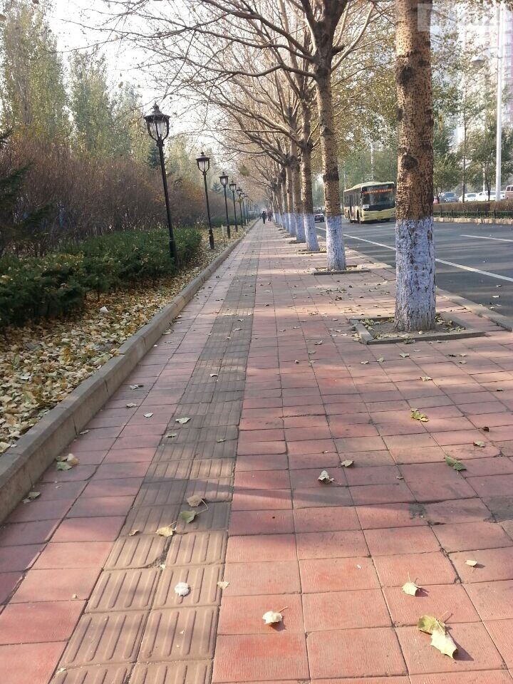出差随拍718 / 作者:黑白年代 / 帖子ID:105458