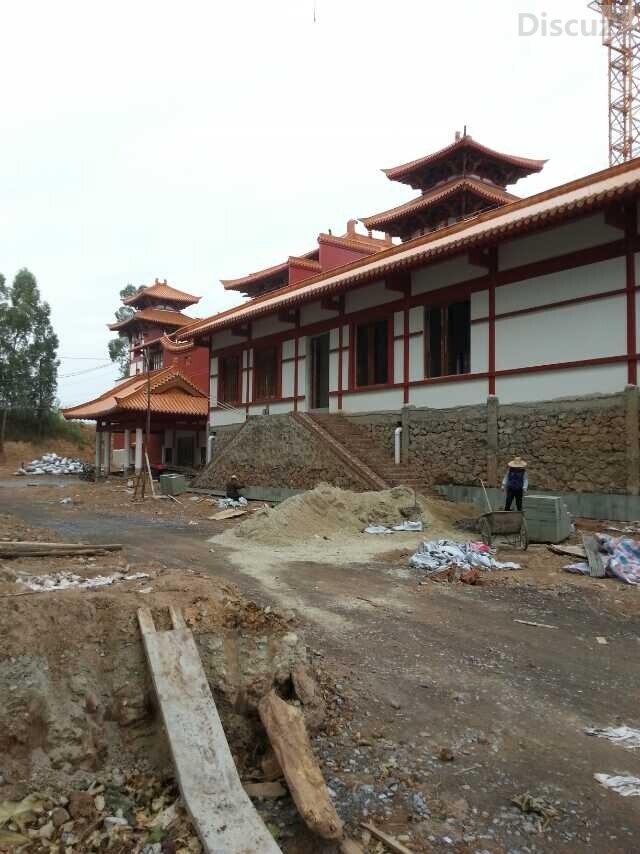 县政协组织部分政协委员视察山寨盘王阁工地情况848 / 作者:九命猫 / 帖子ID:105552