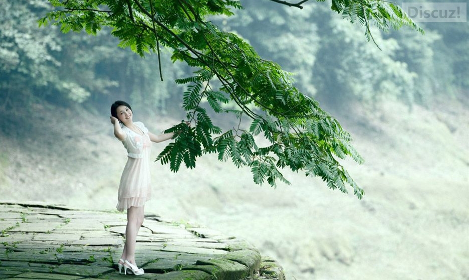 走吧！去摘那红彤彤的柿子。695 / 作者:建筑19551213 / 帖子ID:105433