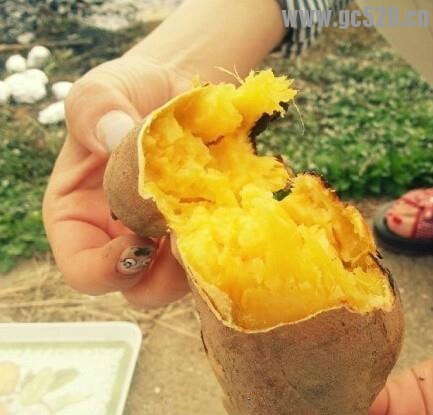 流口水没481 / 作者:猫小萌 / 帖子ID:105657