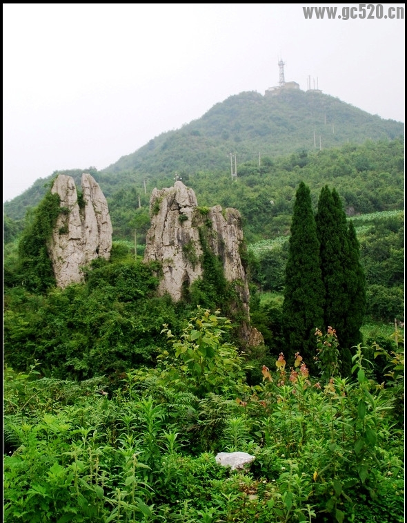 那年那月…依然快乐。拥有快乐！是我们最愉悦的！609 / 作者:建筑19551213 / 帖子ID:105729