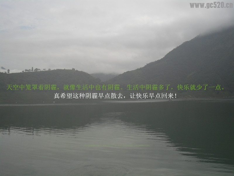 智者…知道走那条路最好！965 / 作者:建筑19551213 / 帖子ID:105771