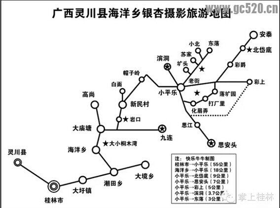 “中国银杏第一乡”徒步路线一览766 / 作者:黑白年代 / 帖子ID:105772
