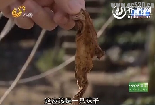 乡巴佬鸡蛋吃出丝袜 厂家：这不很正常吗659 / 作者:桂花糕 / 帖子ID:105774