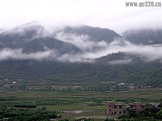 想念家乡那醉人的美景110 / 作者:╰桃ヅ小姐╮ / 帖子ID:105791