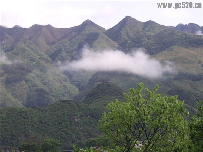 想念家乡那醉人的美景520 / 作者:╰桃ヅ小姐╮ / 帖子ID:105791