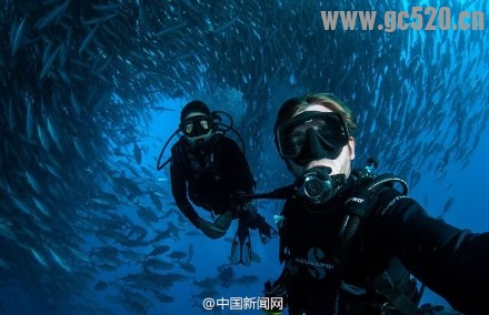太震撼了！夫妇潜水被鱼群“包围”545 / 作者:奇葩处处有 / 帖子ID:105846