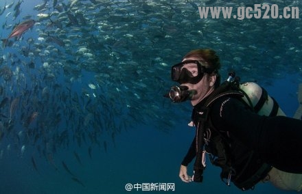 太震撼了！夫妇潜水被鱼群“包围”305 / 作者:奇葩处处有 / 帖子ID:105846