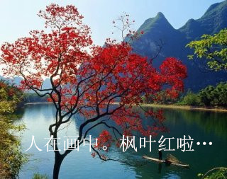人生因等待而优雅…683 / 作者:建筑19551213 / 帖子ID:105884