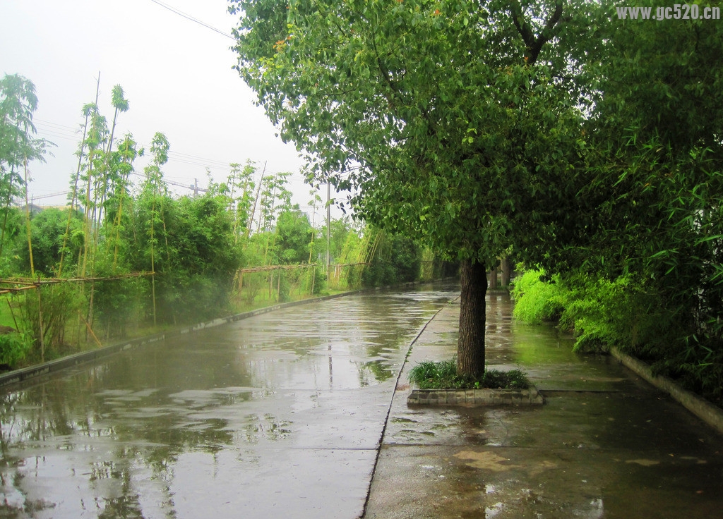 那雨如丝…那雨如纱…204 / 作者:建筑19551213 / 帖子ID:105956