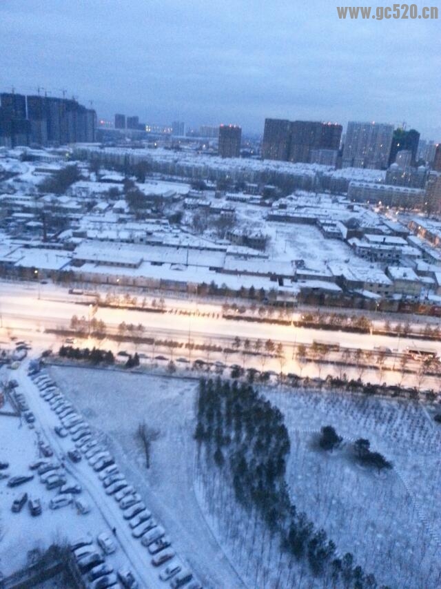 北方积雪984 / 作者:黑白年代 / 帖子ID:105977
