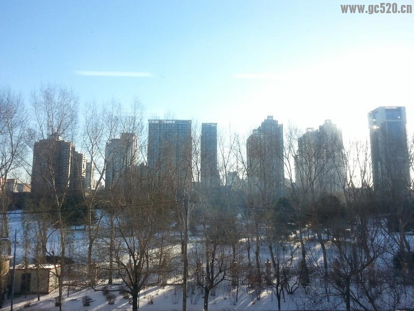 北方积雪41 / 作者:黑白年代 / 帖子ID:105977